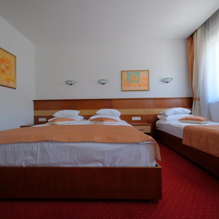 Motel Mujanic Sarajevo - Deluks Dvokrevetna Soba sa Bračnim Krevetom/Zasebnim Krevetima i Balkonom - 3