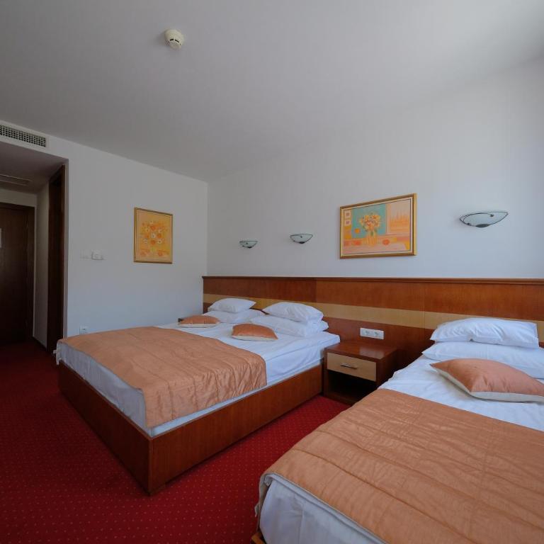 Motel Mujanic Sarajevo - Deluks Dvokrevetna Soba sa Bračnim Krevetom/Zasebnim Krevetima i Balkonom - 6