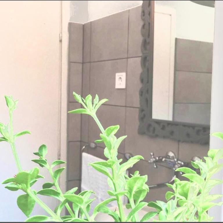 Villa Urbana, Old Town Budva - Vila sa 3 Spavaće Sobe - 71