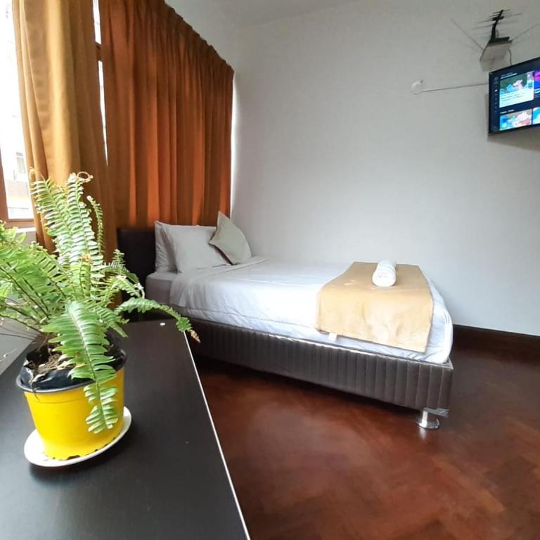 APARTAMENTO ENTERO EN CENTRO DE MIRAFLORES - Habitación Matrimonial - Apartamento de 1 dormitorio - 2