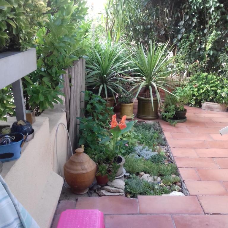 Les Trois Rois - Chambre Double avec Terrasse - 8