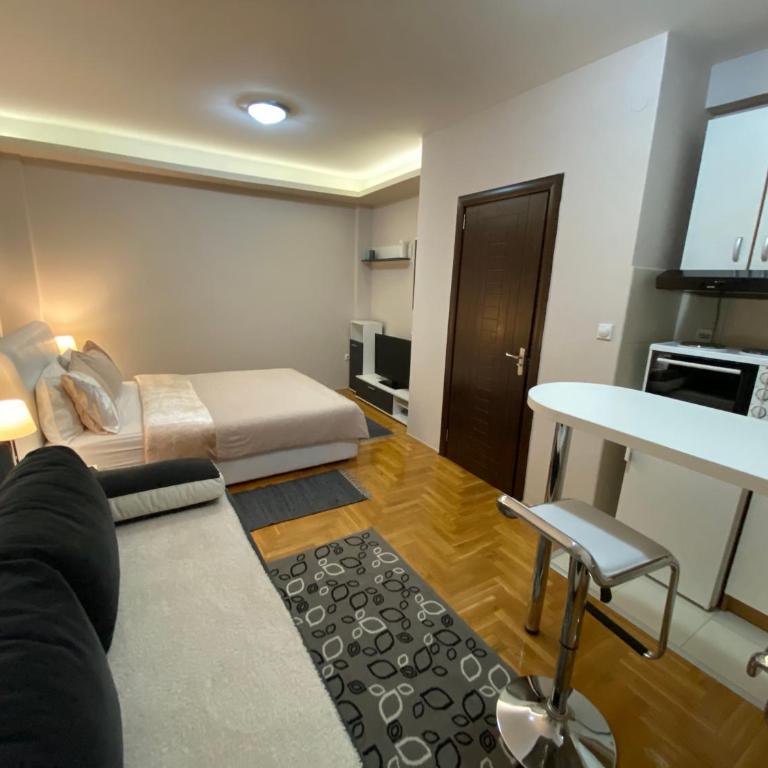 Studio SM Kragujevac - Studio Apartment - 1
