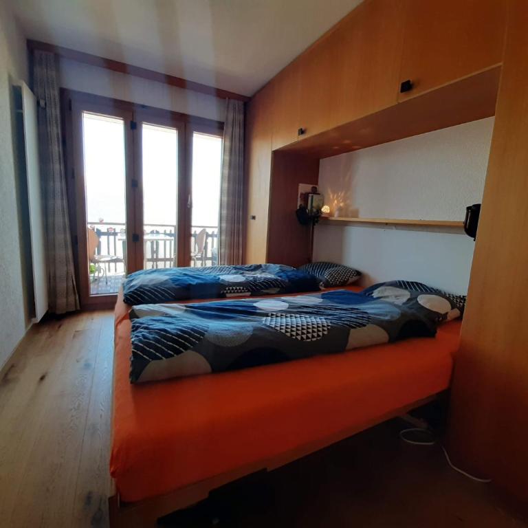 The fox's family home - Veysonnaz - Appartement 1 Chambre - 19