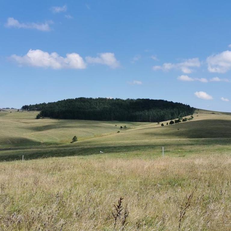 Apartman sa dvorištem Modesty Apartment Zlatibor - Apartment - 36