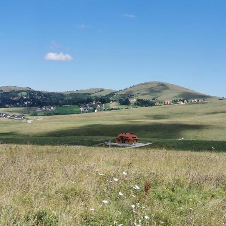 Apartman sa dvorištem Modesty Apartment Zlatibor - Apartment - 38