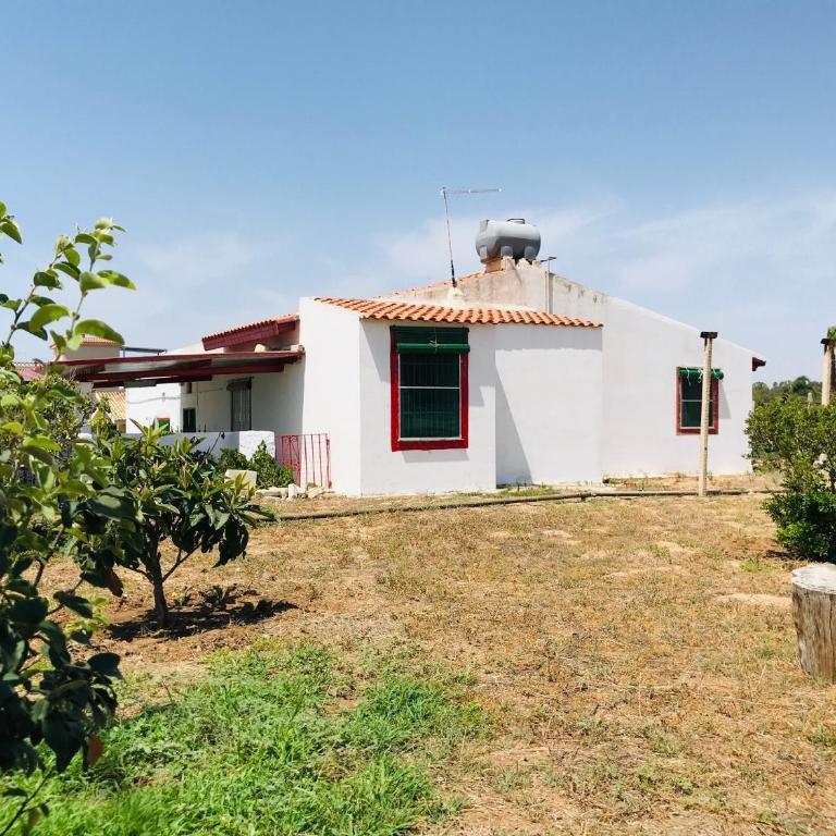 CASA VACANZA PALMENTO BELLA - Casa con 2 Camere da Letto - 23