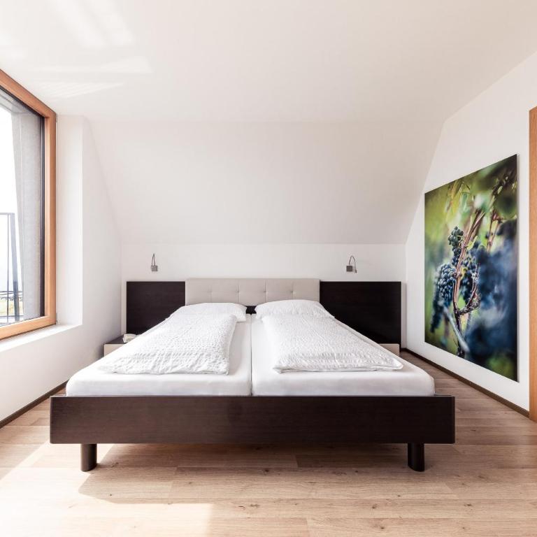 Villa Pernstich - modern apartments - Appartamento con 1 Camera da Letto e Terrazza - 9