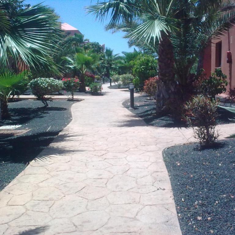 Tamarindo I Piscinas de Agua Salada - One-Bedroom Apartment - 26