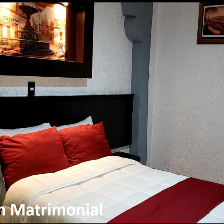 Hotel Murillo Plaza - Standard Room - 6
