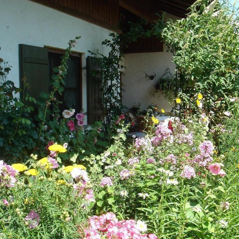 Ferienwohnung Burgenblick - Apartment - 9