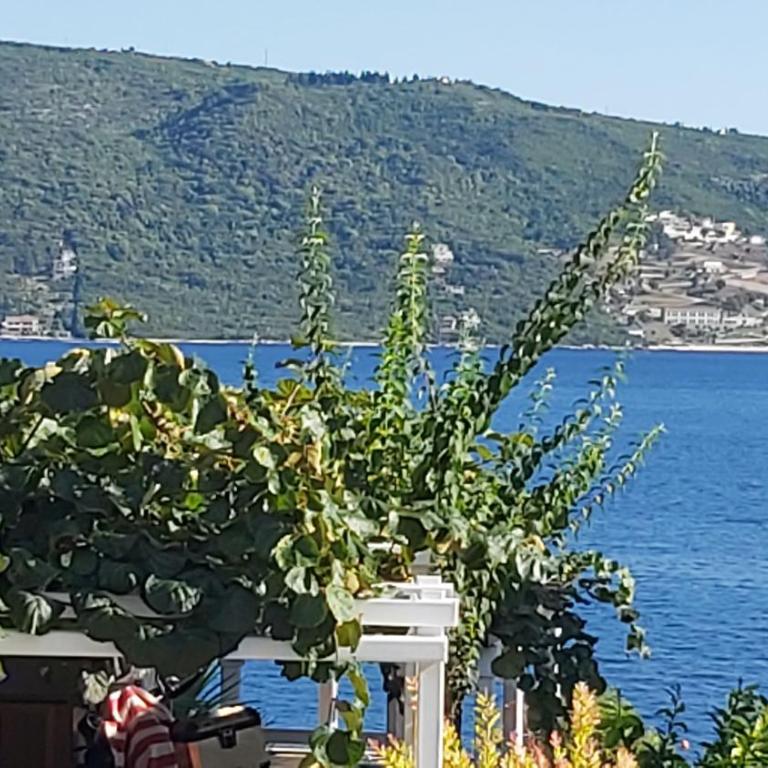 Solstice Retreat - Double Room with Garden View - 1
