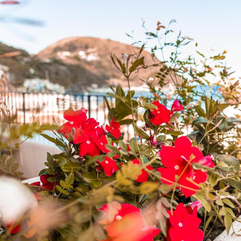 Villa Grazia Lipari - Appartamento - 22