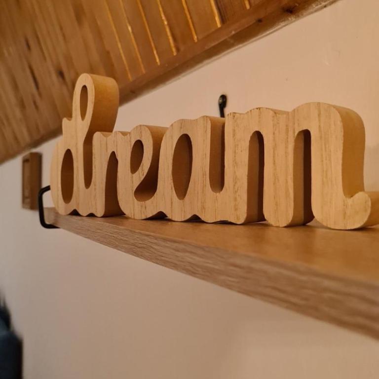 Apartman Tripković - Apartman sa 1 Spavaćom Sobom - 20