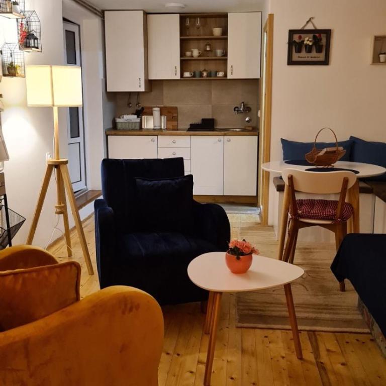 Apartman Tripković - Apartman sa 1 Spavaćom Sobom - 11