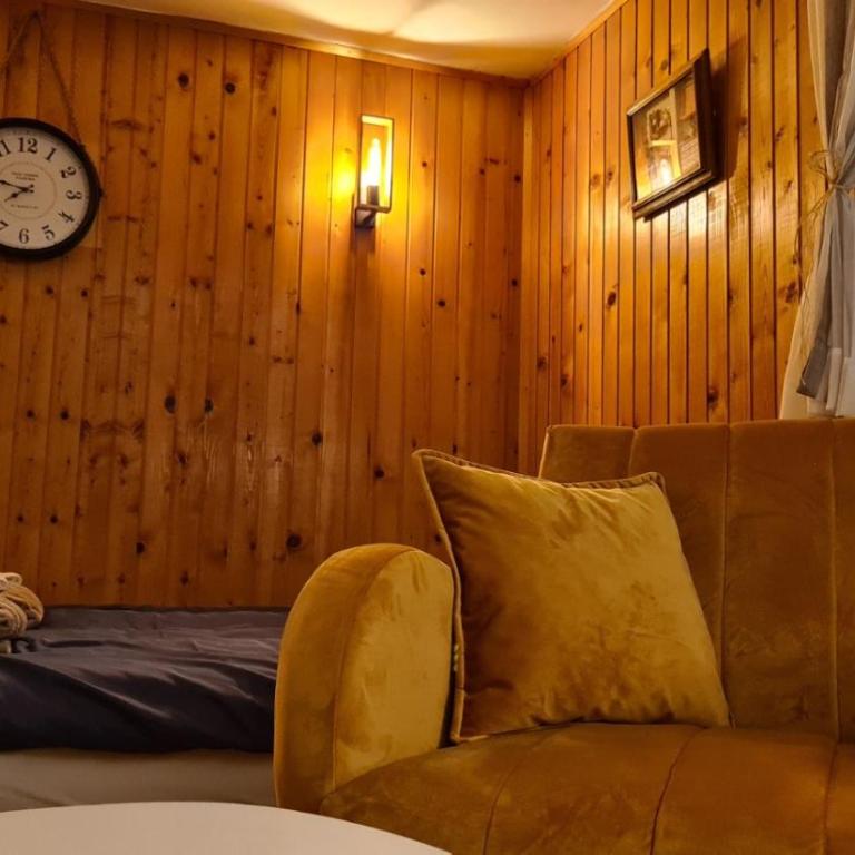 Apartman Tripković - Apartman sa 1 Spavaćom Sobom - 17