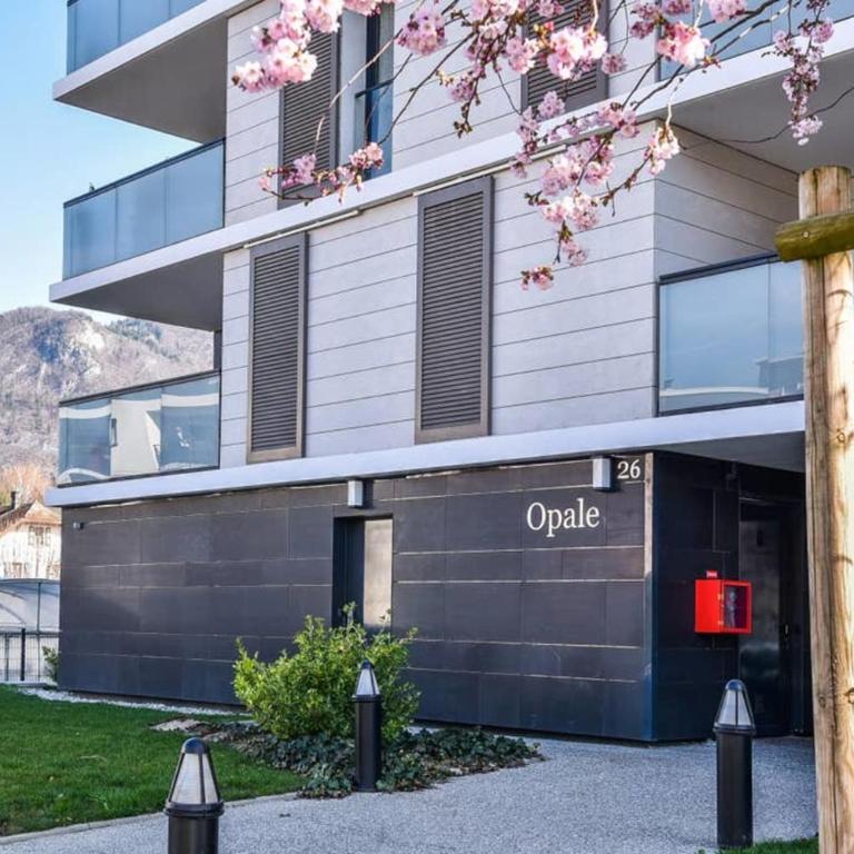 Appartement l'Opale - T2 48m avec parking à 300m du Lac d'Annecy - Apartment - 13