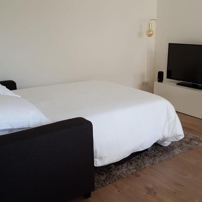 La Roseraie - Apartment 100m from Lake Annecy - Apartment - 10