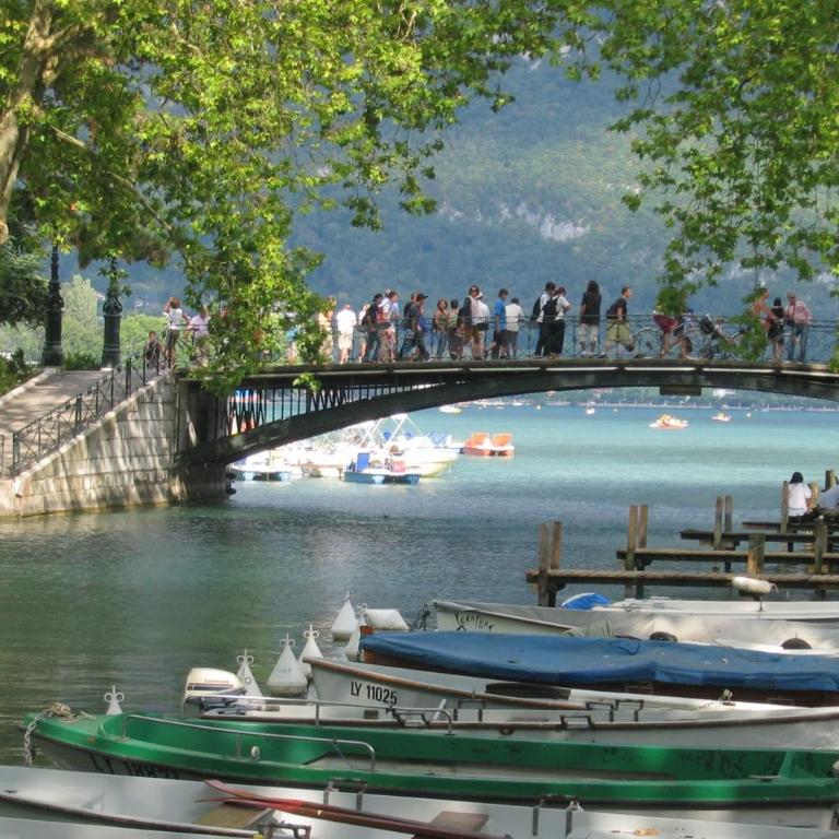 La Roseraie - Apartment 100m from Lake Annecy - Apartment - 19