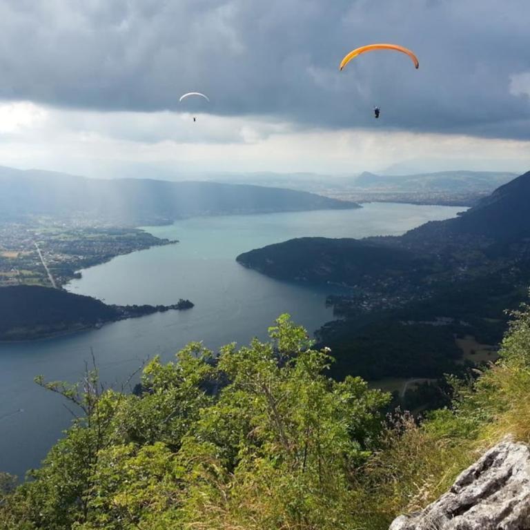 La Roseraie - Apartment 100m from Lake Annecy - Apartment - 20
