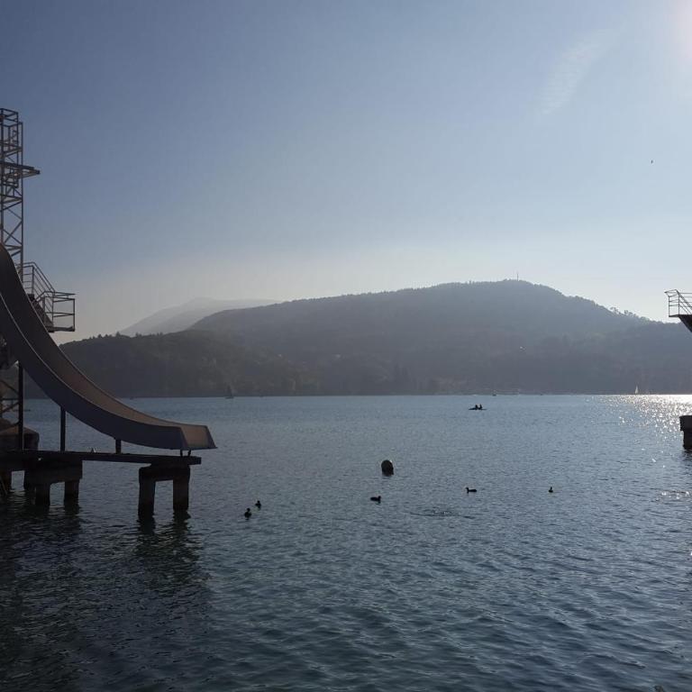 La Roseraie - Apartment 100m from Lake Annecy - Apartment - 22