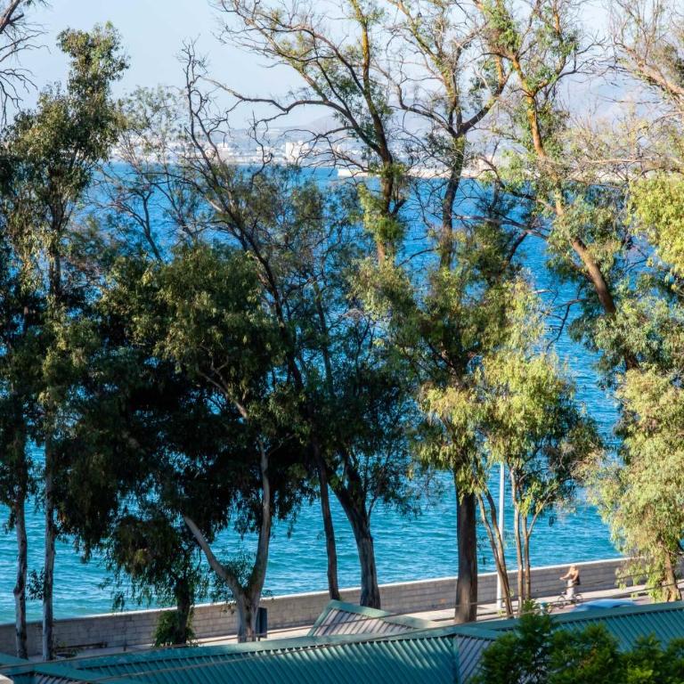 BLUE SEA - houses with terrace - Studio Apartment with Sea View - 11