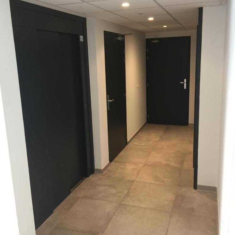 Le Riesling Colmar centre Charmant appartement avec terrasse et parking gratuit - Apartment mit 1 Schlafzimmer - 39