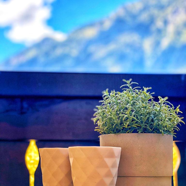 Rocky Studio Chamonix Sud - Apartment mit Blick auf die Berge - 58