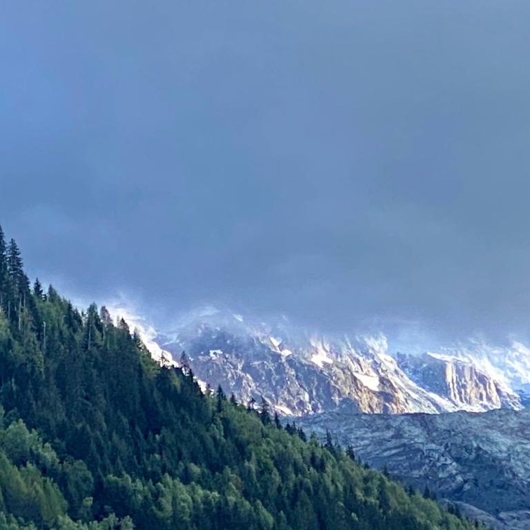 Rocky Studio Chamonix Sud - Apartment mit Blick auf die Berge - 97