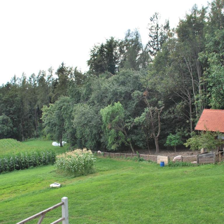 Ferienwohnung Zetzhirsch - Apartment mit 1 Schlafzimmer - 29