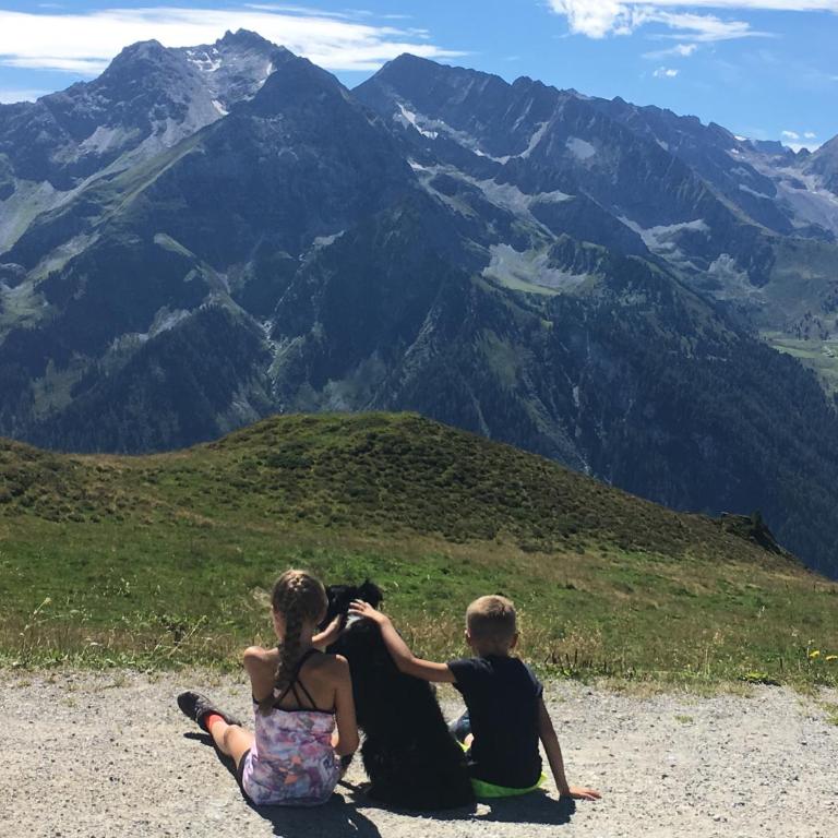 Landhaus Katharina bis 5 Personen mit Saunachalet und Blick auf die Bergwelt des Zillertals - Apartment mit Blick auf die Berge - 38