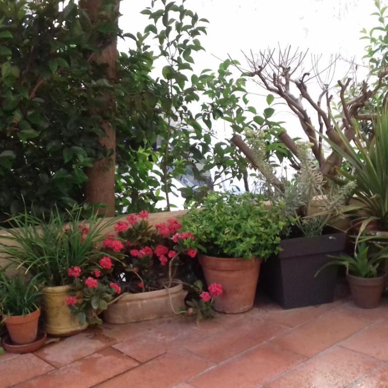 Les Trois Rois - Chambre Double avec Terrasse - 3
