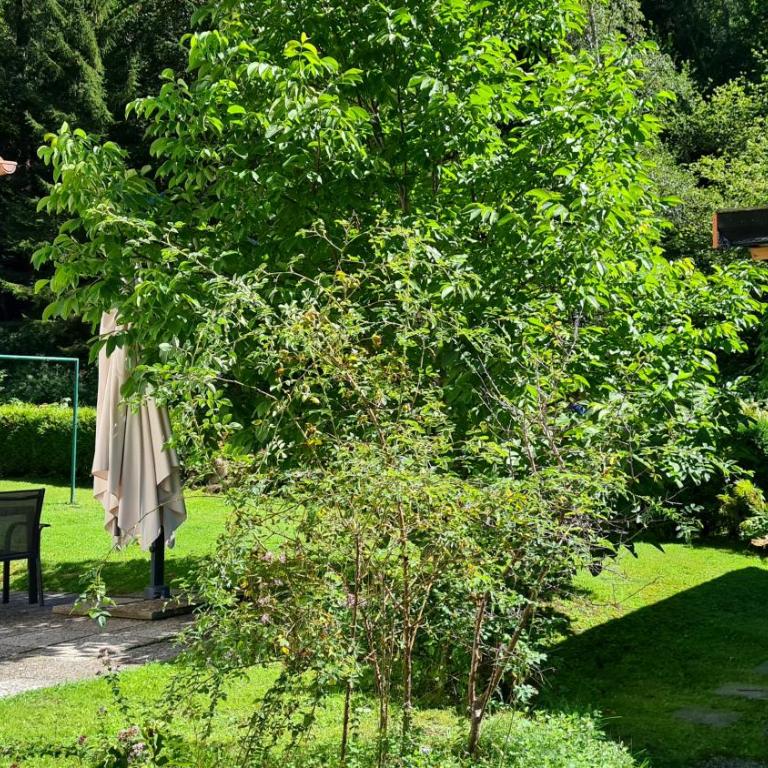 AmThumersbach - Chalet - 22