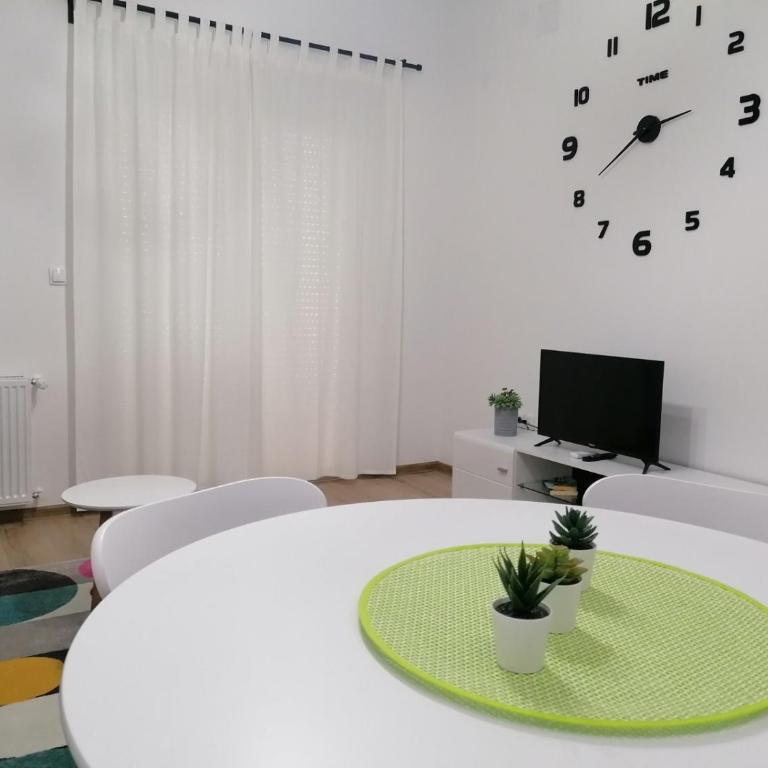 Apartman Mila, Banja Koviljača - Apartman sa 1 Spavaćom Sobom - 2