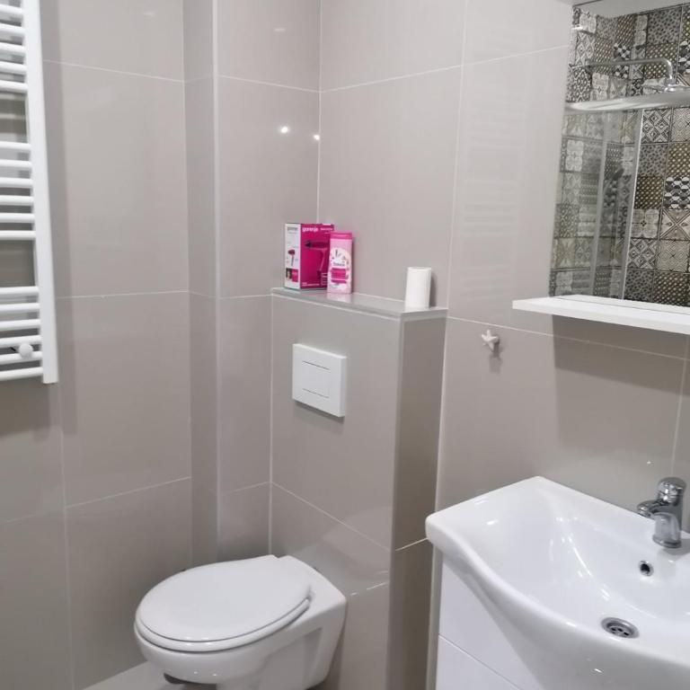 Apartman Mila, Banja Koviljača - Apartman sa 1 Spavaćom Sobom - 14