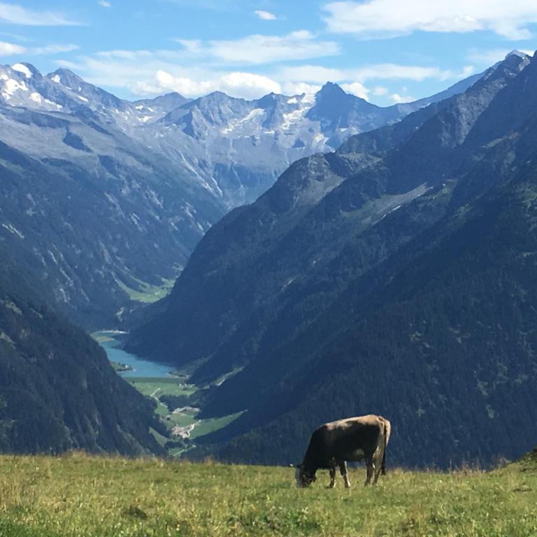 Landhaus Katharina bis 5 Personen mit Saunachalet und Blick auf die Bergwelt des Zillertals - Apartment mit Blick auf die Berge - 29