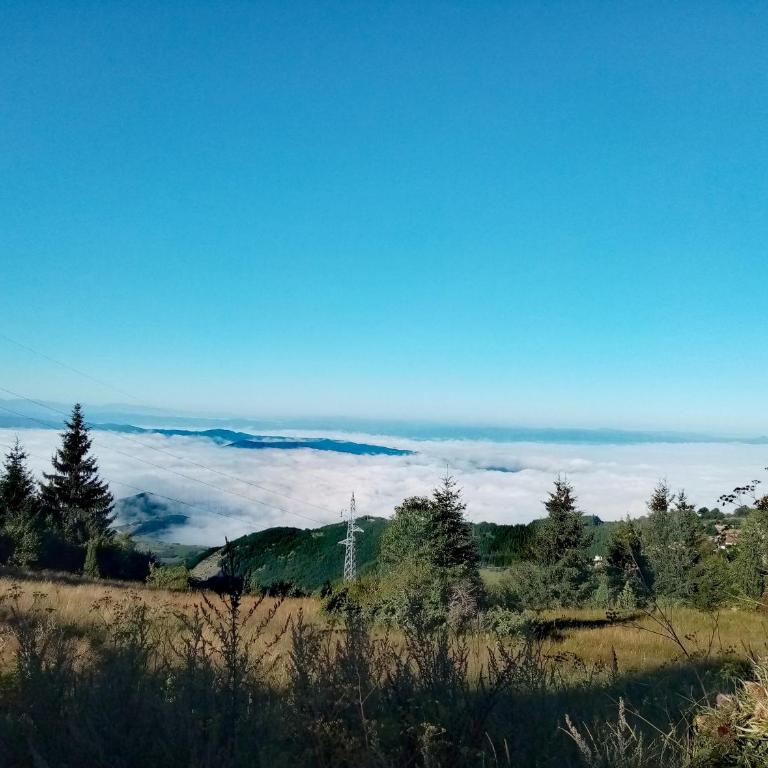 Iznad oblaka A1 - Apartman sa Pogledom na Planinu - 18