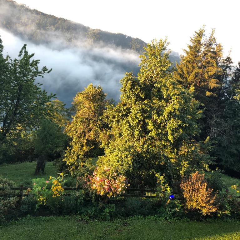 Landhaus Hofer Ossiacher See - Double Room with Lake View - 11