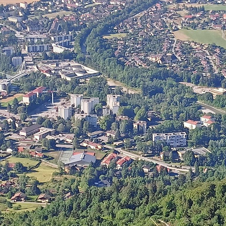 Le calme à 5 mn du centre ville - La Lisière T2 - Appartement 1 Chambre - 31