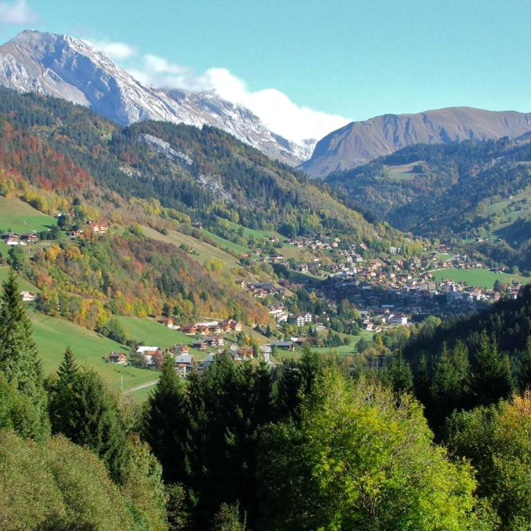 Les Lucioles - Studio - Vue sur Montagne - 13