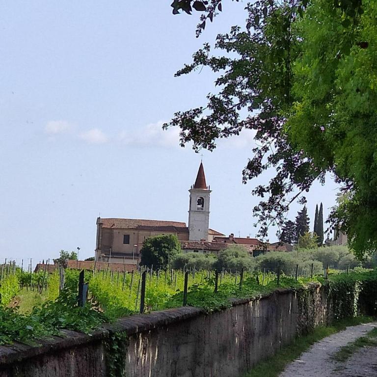 Private Garden Giardino Privato a Bardolino - House Amorino - Two-Bedroom Apartment with Private Garden - 27