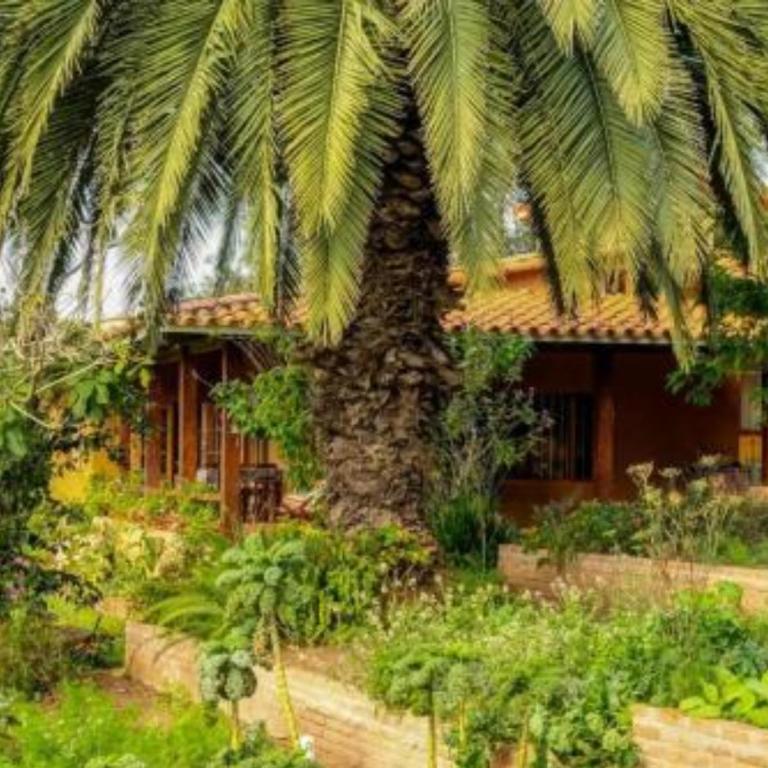 Finca La Vispera - Casa - 4