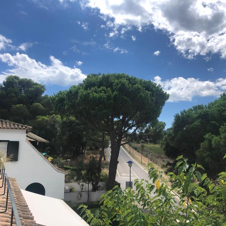 Espectacular apartamento con piscina en Calella de Palafrugell - Apartamento de 1 dormitorio - 17