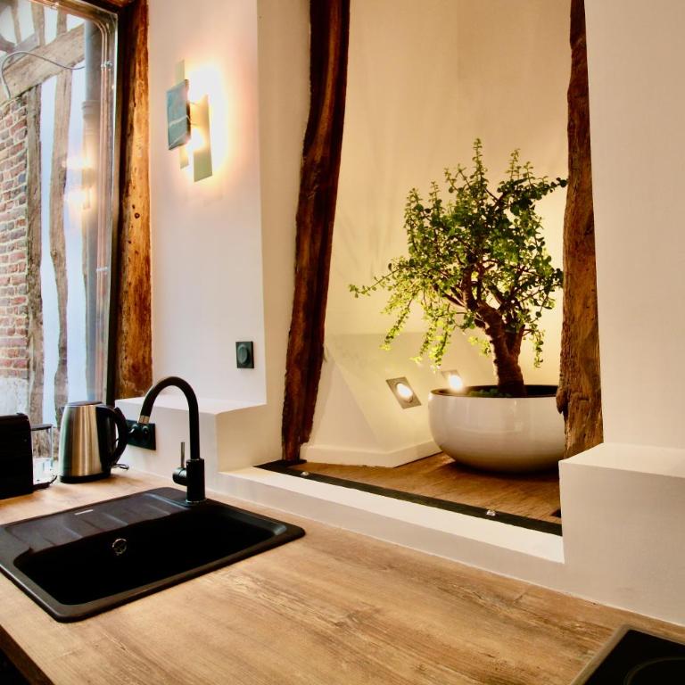 L'Atelier 1742 - Atypique jacuzzi Rouen Centre - Appartement 1 Chambre - 9