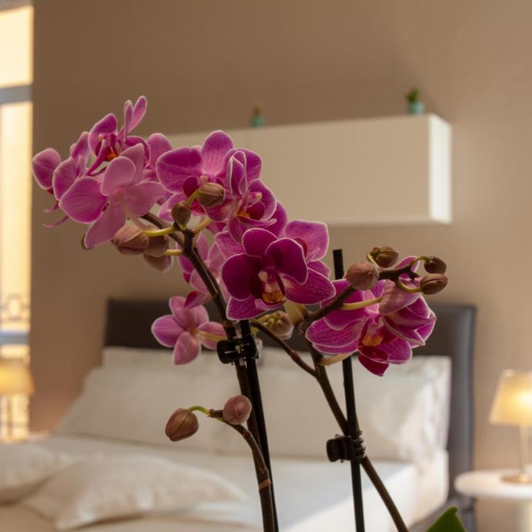 Domus Suites Verona - Suite - 9