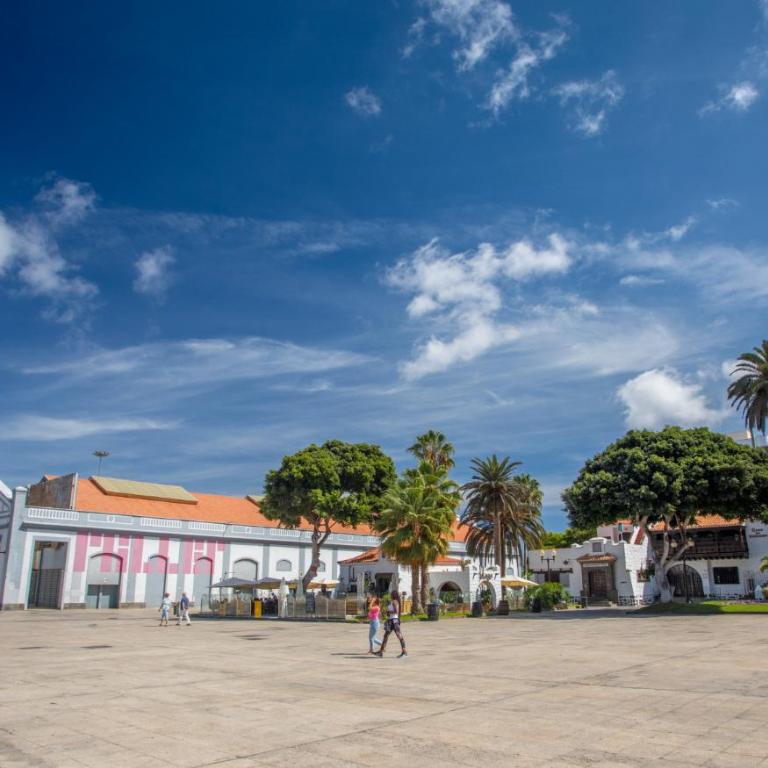 Bolivar cute home By CanariasGetaway - Apartamento Deluxe - 16
