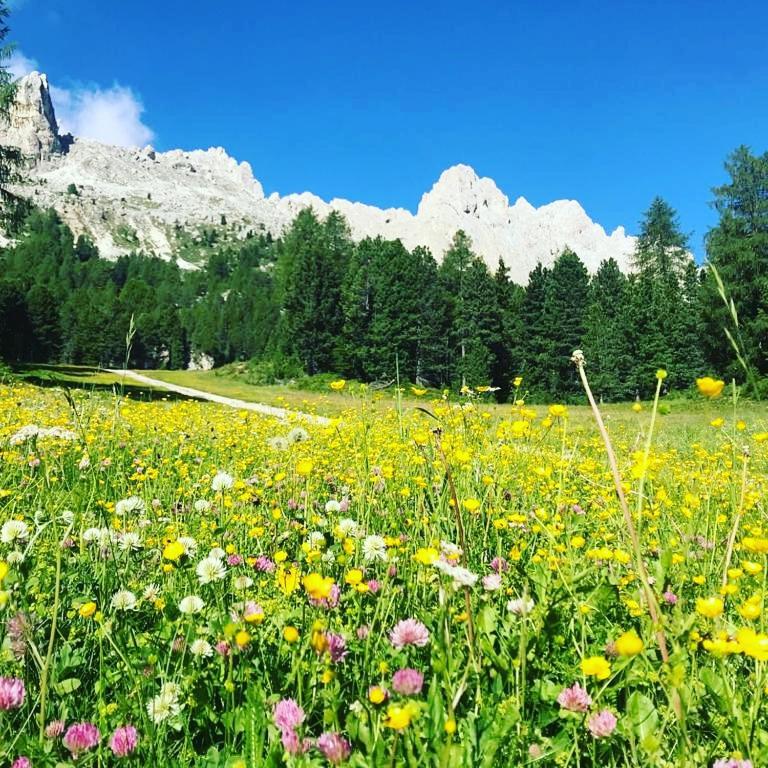 Mountain - Appartamento - Piano Terra - 26