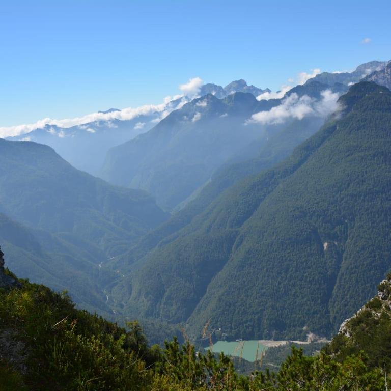 Mountain - Appartamento - Piano Terra - 4