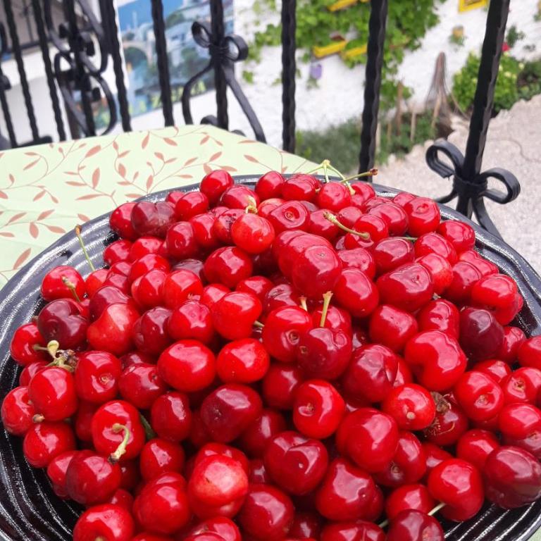 Villa Zigana - Deluxe Apartment - 32