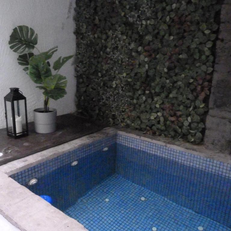 Pequeño Alojamiento con Mini Piscina - NO climatizada - Studio with Terrace - 2