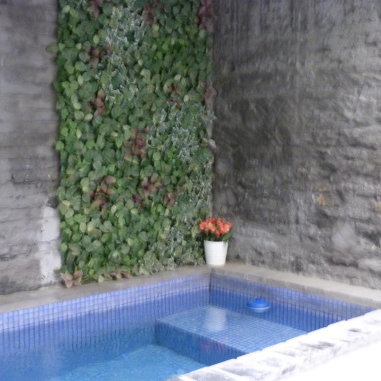 Pequeño Alojamiento con Mini Piscina - NO climatizada - Studio with Terrace - 11